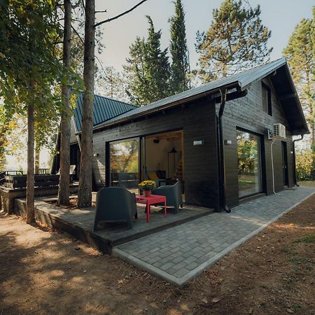 Kuca Za Odmor Vrdnik Villa Екстериор снимка