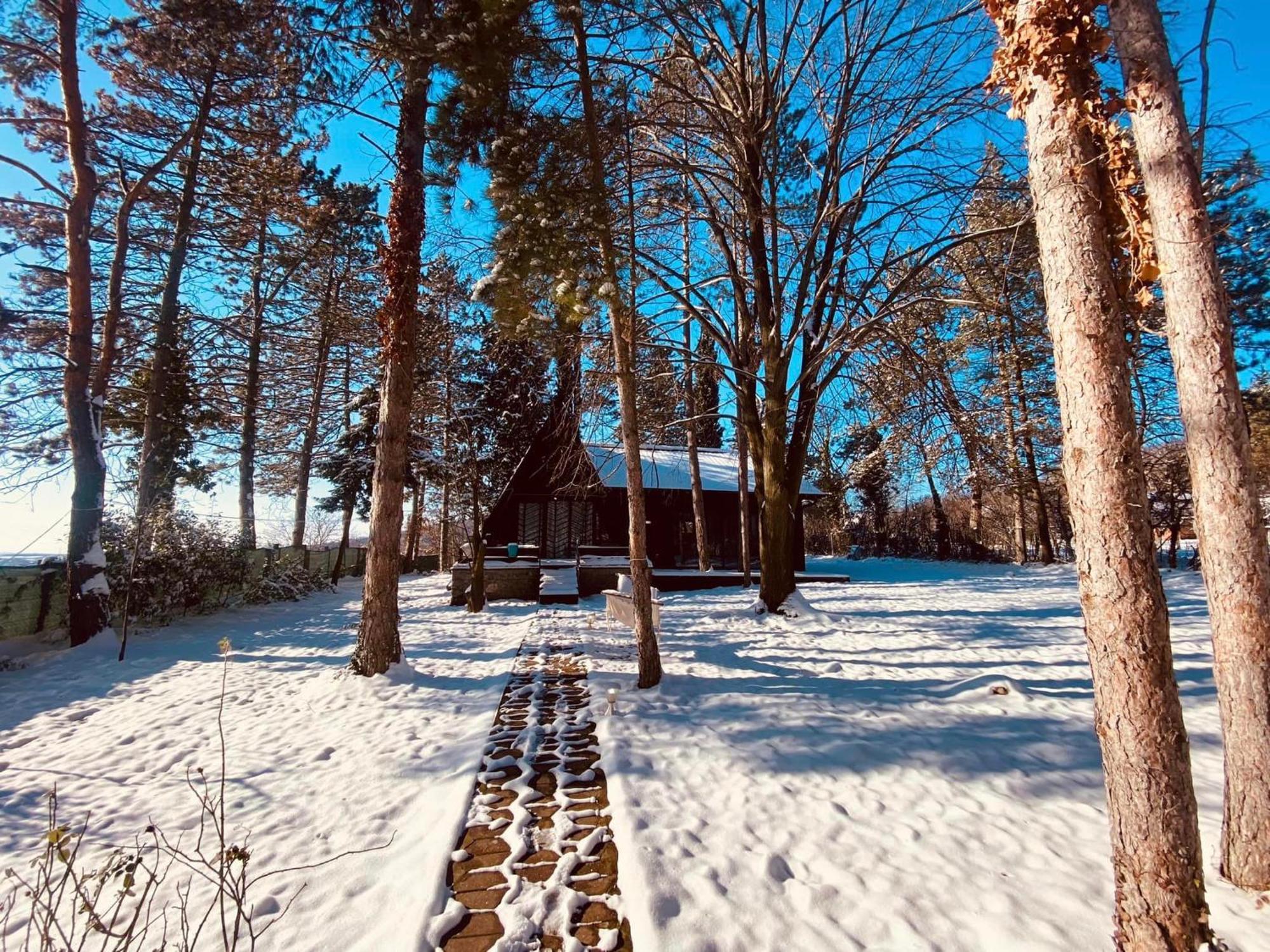 Kuca Za Odmor Vrdnik Villa Екстериор снимка
