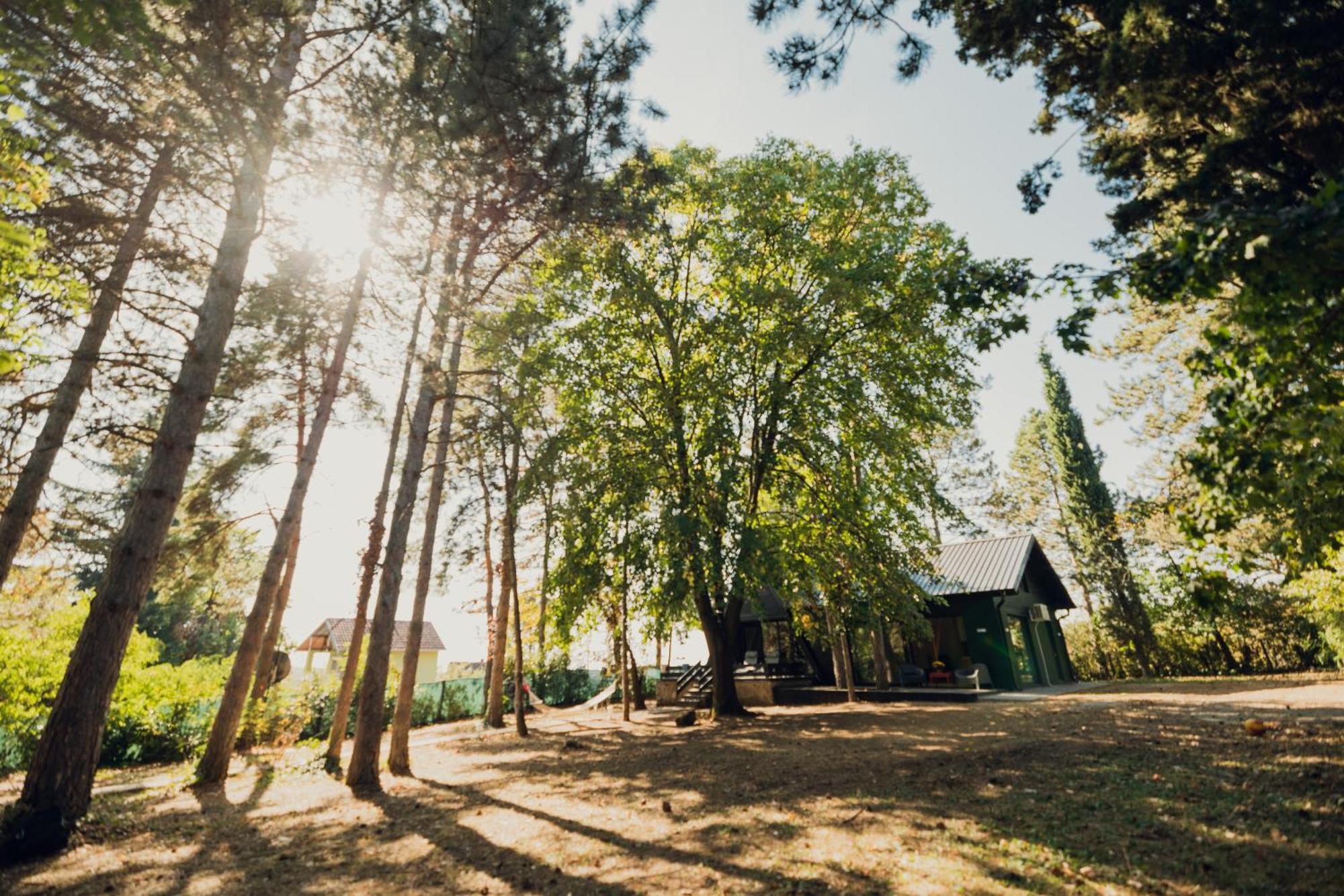 Kuca Za Odmor Vrdnik Villa Екстериор снимка