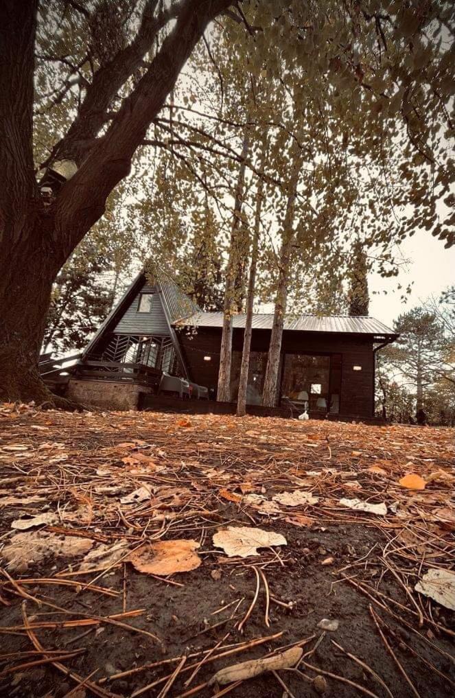 Kuca Za Odmor Vrdnik Villa Екстериор снимка